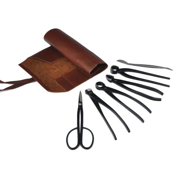 6 piece Carbon Steel Tool Set